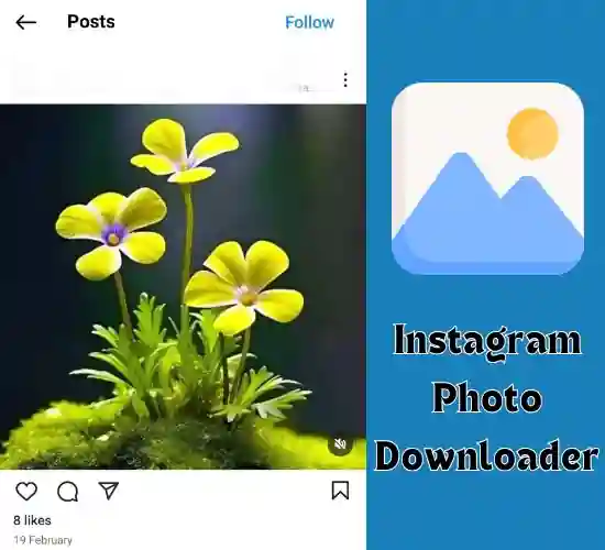 instavideosave